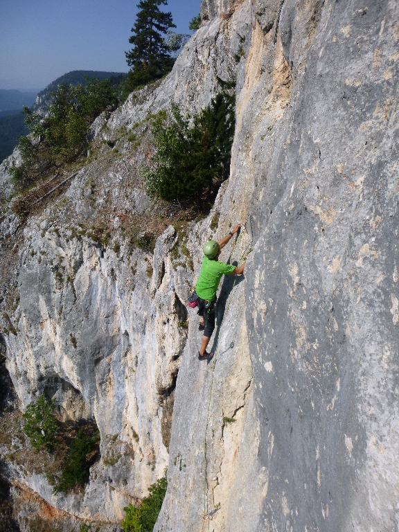 1 Fotos Michi Projekt Zukunftsweiser