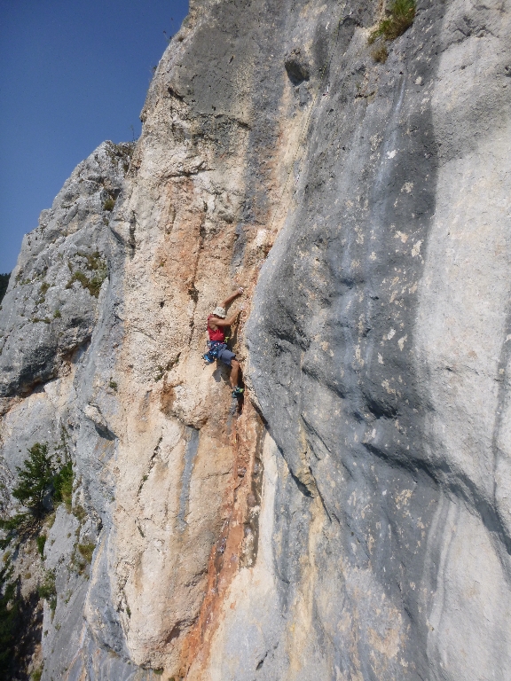 5 Fotos Michi Projekt Zukunftsweiser