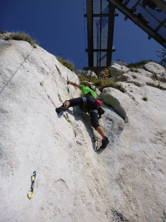 8 Fotos Michi Projekt Zukunftsweiser