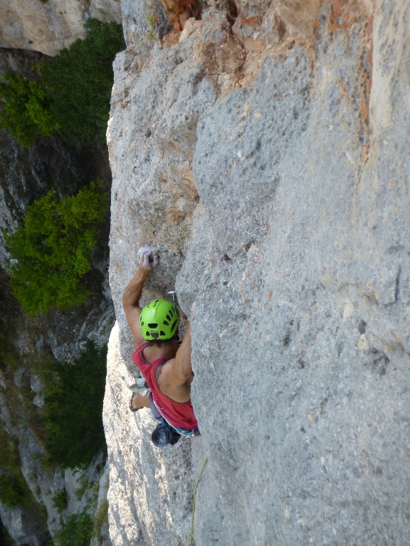 36 Fotos Michi Projekt Zukunftsweiser