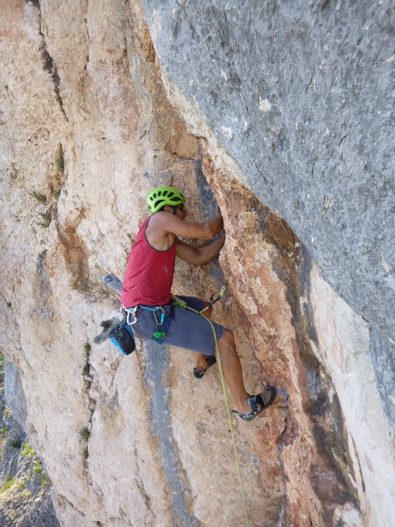 45 Fotos Michi Projekt Zukunftsweiser