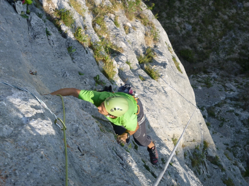 51 Fotos Michi Projekt Zukunftsweiser