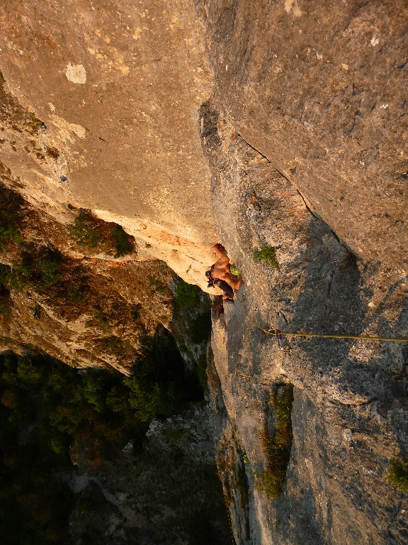 6 Fotos Flo Projekt Zukunftsweiser