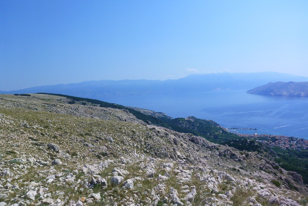 73 Fliegen Kroatien Krk 2015