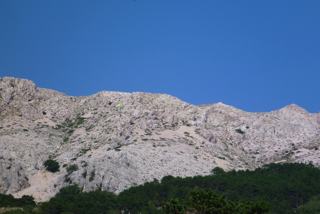 83 Fliegen Kroatien Krk 2015