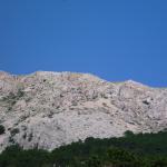 83 Fliegen Kroatien Krk 2015