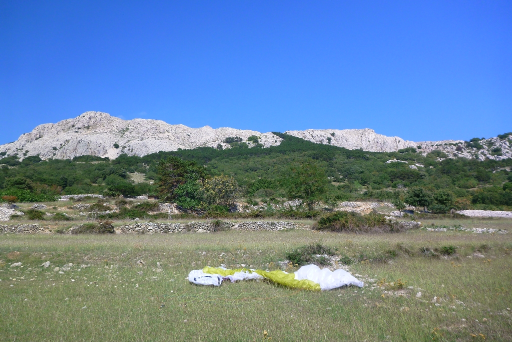 81 Fliegen Kroatien Krk 2015