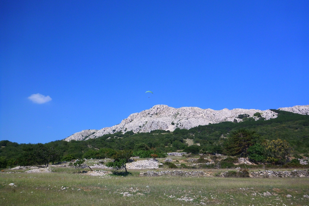 84 Fliegen Kroatien Krk 2015