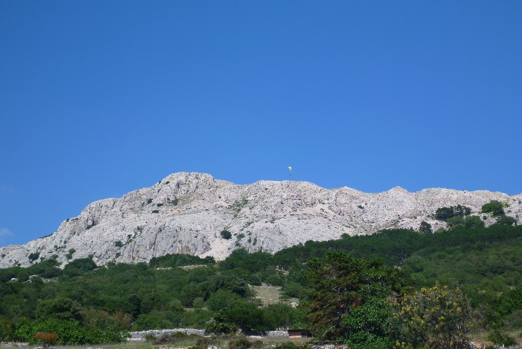 82 Fliegen Kroatien Krk 2015