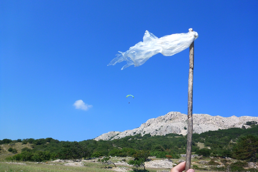 85 Fliegen Kroatien Krk 2015