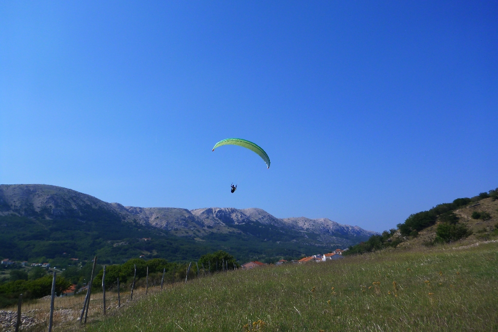 86 Fliegen Kroatien Krk 2015