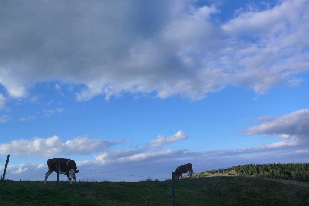 46. Schneebergflug 3_2015