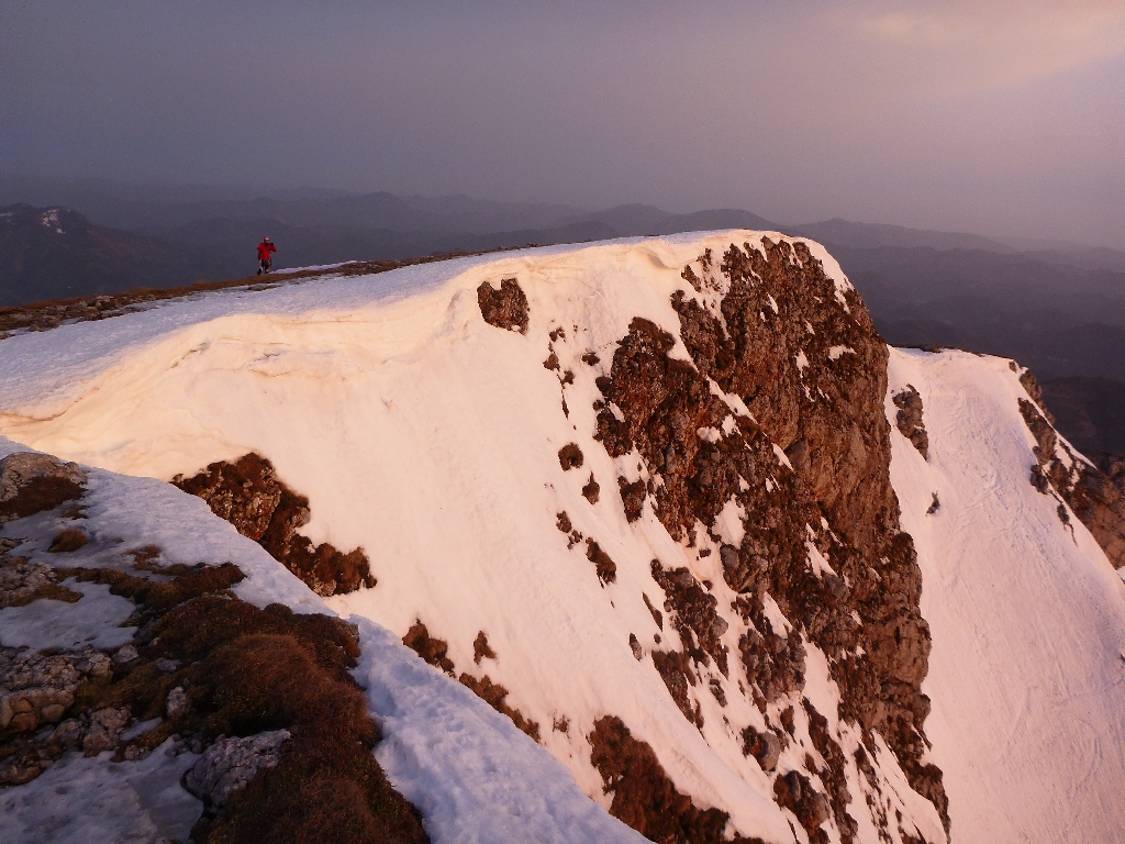 44 Schneebergflug 68.