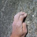 Zukunftsweiser mit Peter 12