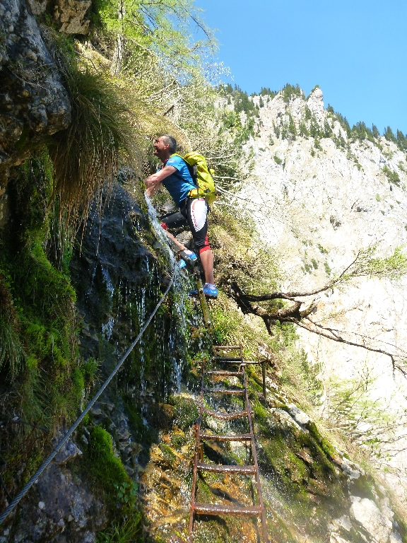 7 Murmelschreck 2016