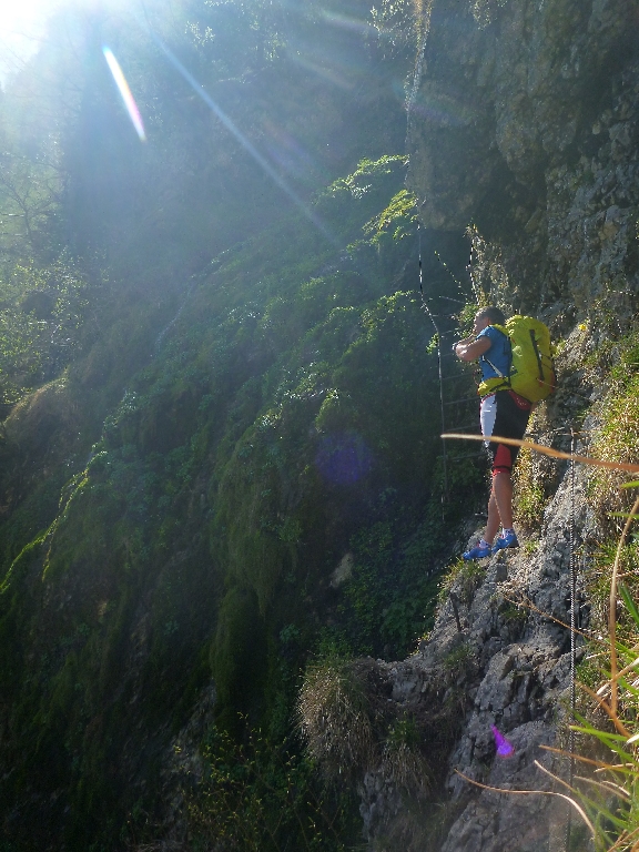 8 Murmelschreck 2016