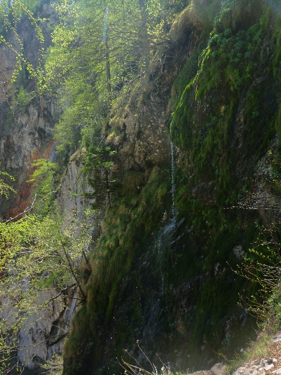 9 Murmelschreck 2016