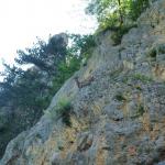 Wildenauer Klettersteig Hohe Wand 3