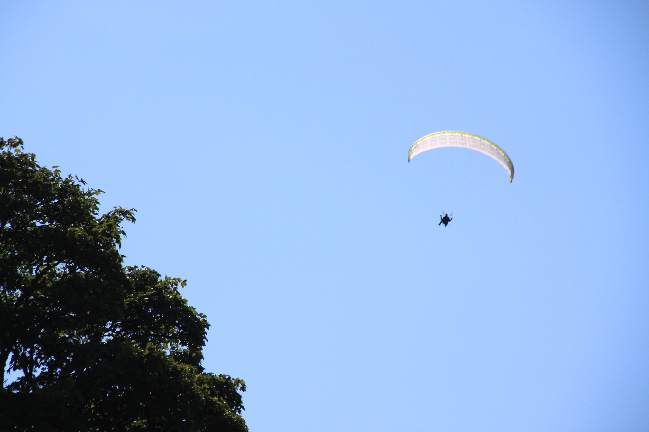 16 Guttenberghaus H&F ION 2016