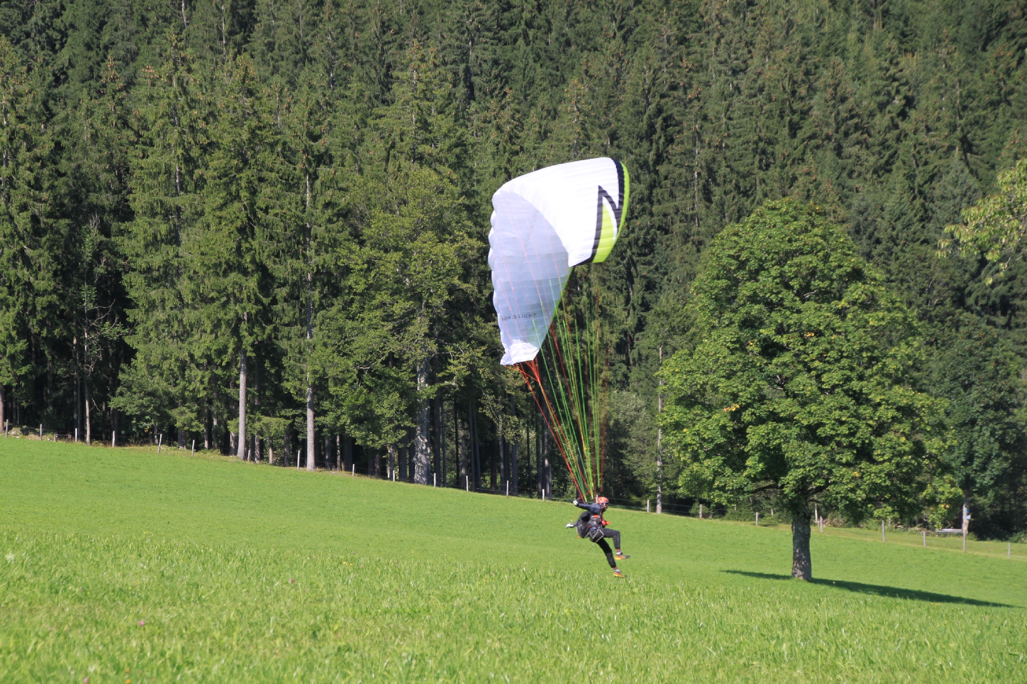 25 Guttenberghaus H&F ION 2016