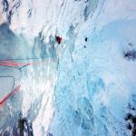 2 Blausiegel 2017 mit Gregor